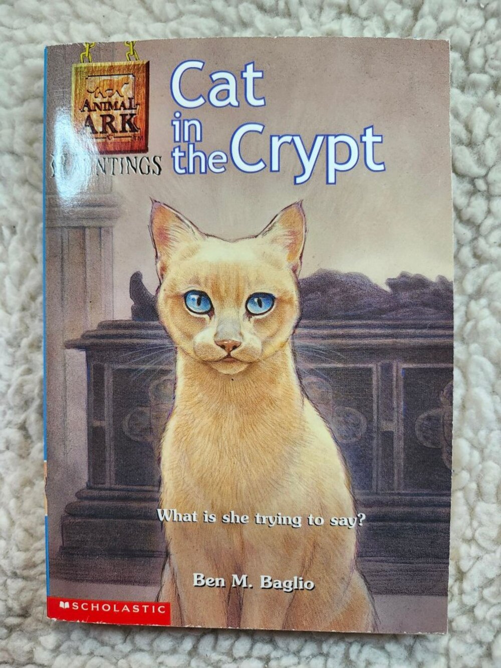 Cat in the Crypt Ben M. Baglio Paperback Scholastic Animal Ark Hauntings